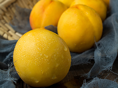 九游电竞平台基地展示五